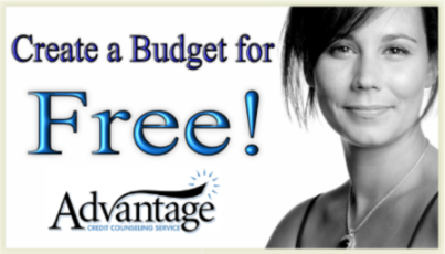 Budget Advisor