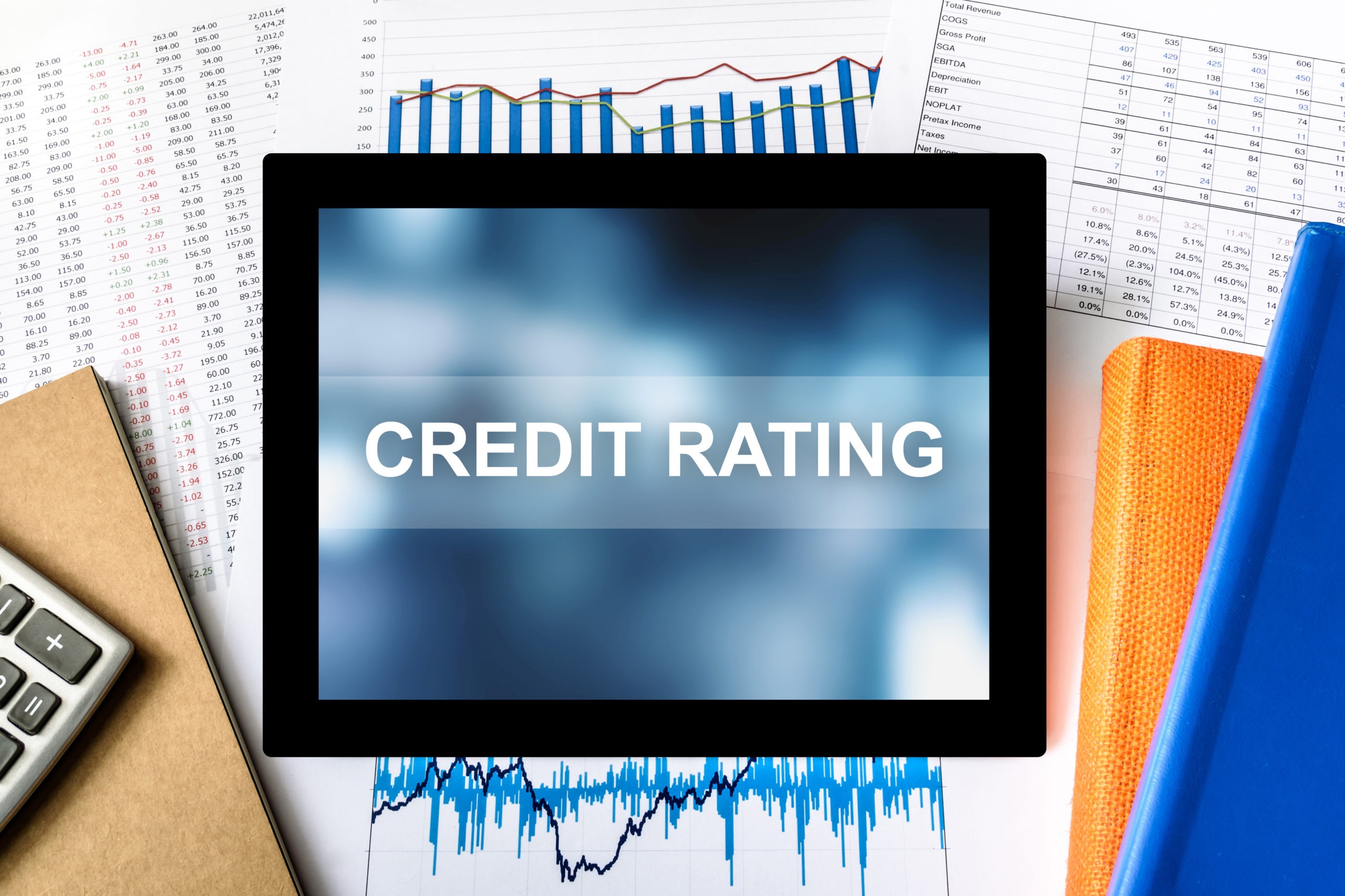 10 Smart Ways To Improve Your Credit Rating