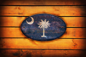 South Carolina flag